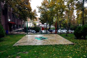 پاییز در دانشگاه علوم بهزیستی و توانبخشی